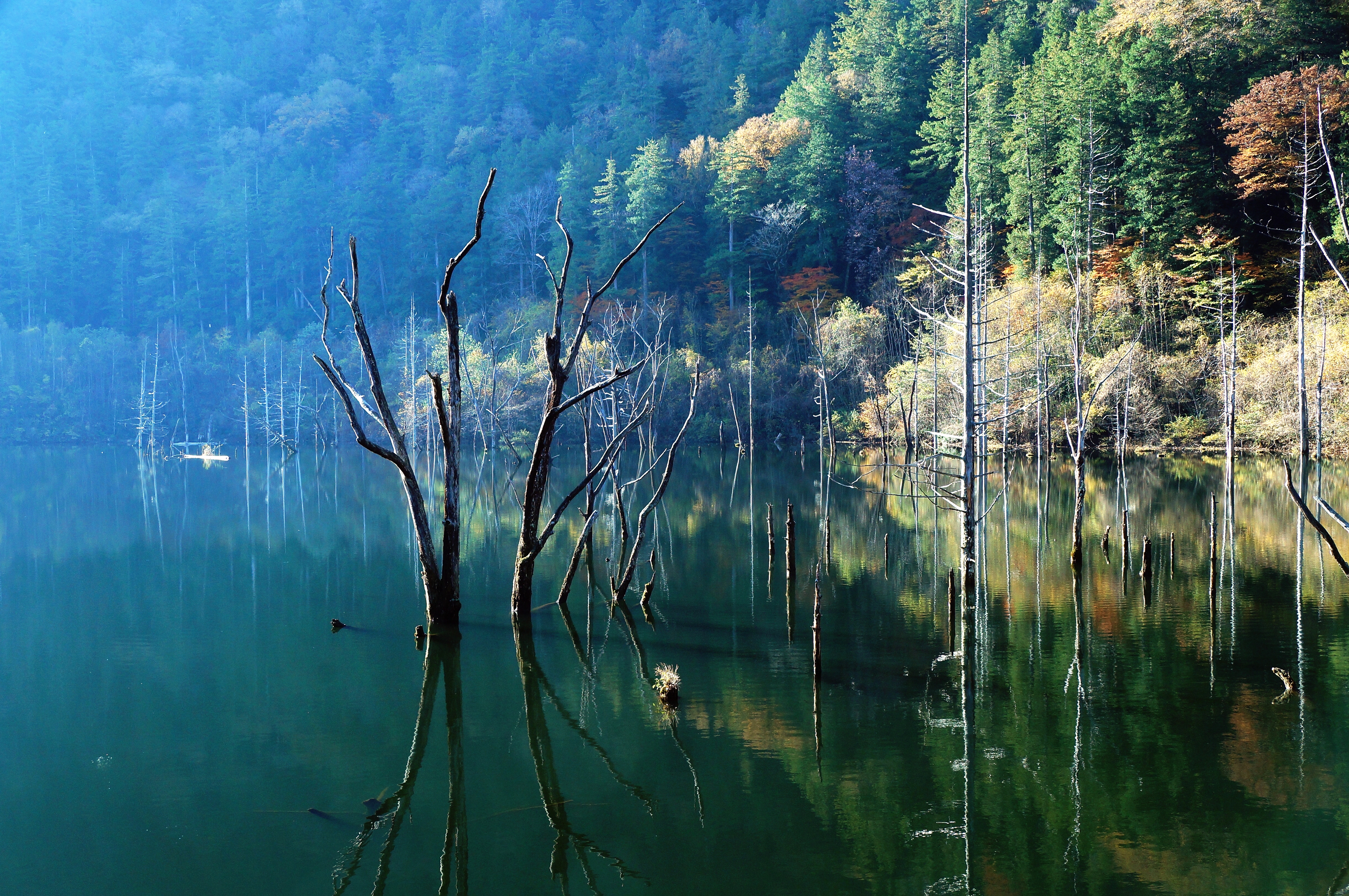 湖の女神 Venus Of The Lake Creation 万智子 Machiko Photo Gallery