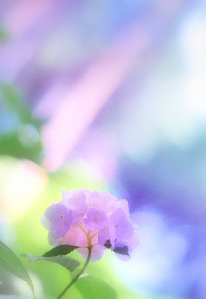 ～みちびき～