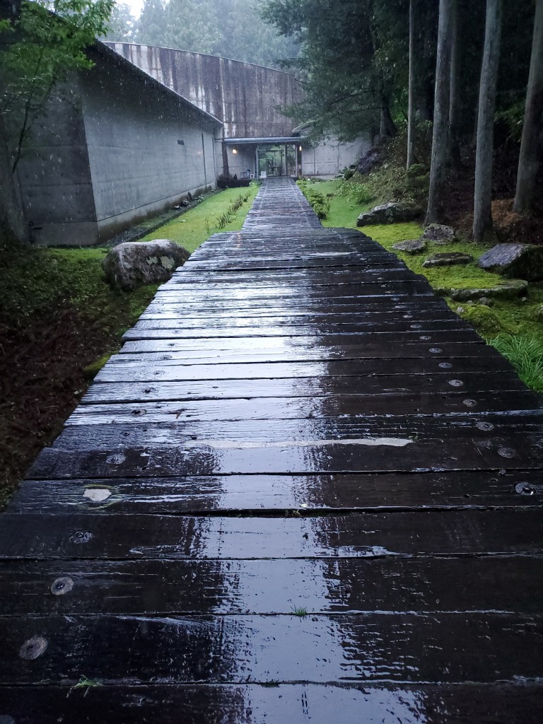 初めての春日の森入りは、雨の日。撮影の時には、更に雨が激しく降ってきました。