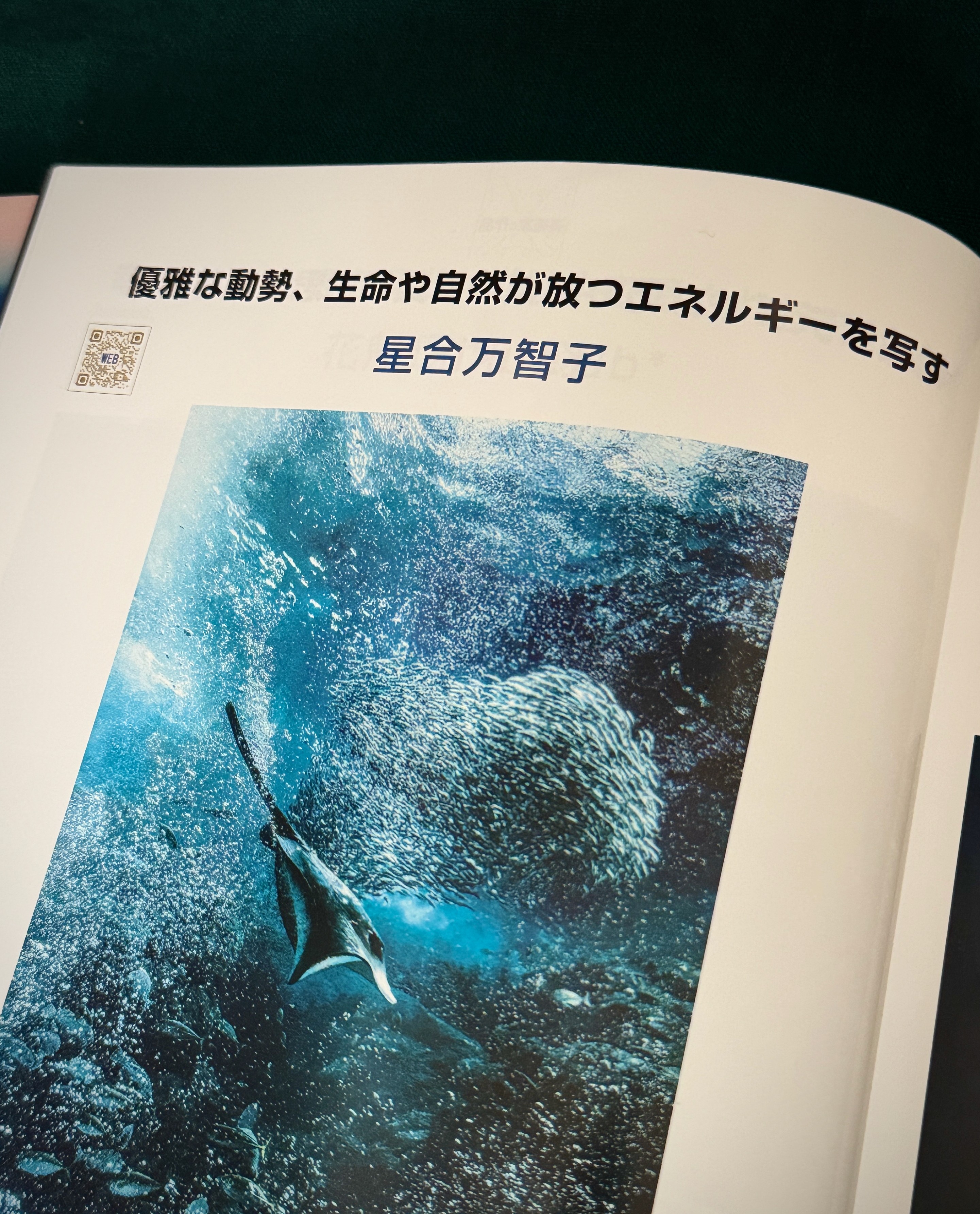 「DEEP SYMPHONY」
